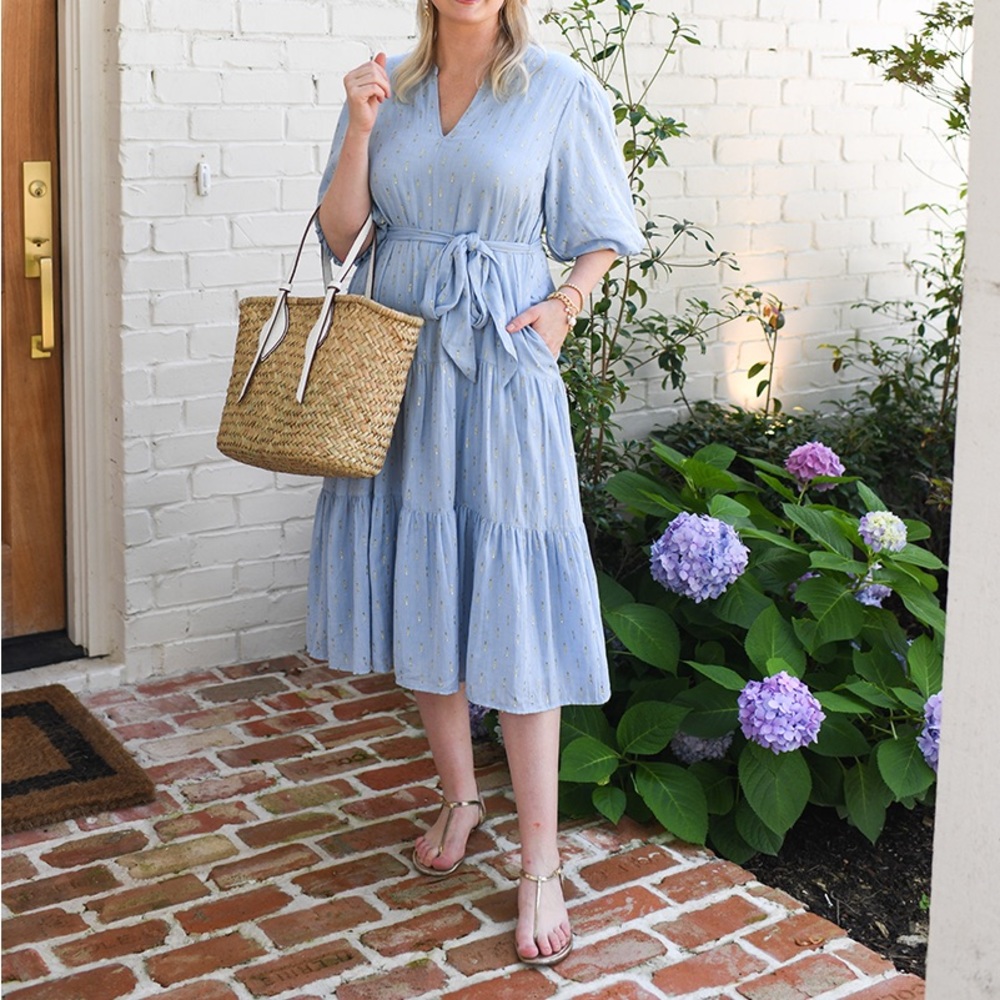 Roller Rabbit Weir Valonia Midi Dress in Light Blue & Gold